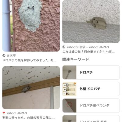 「灰色　巣」のGoogleの検索結果