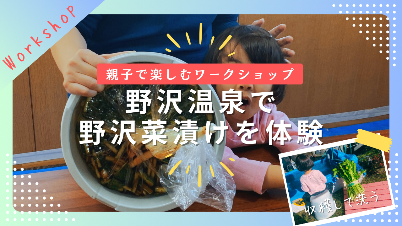 【親子で】野沢温泉で「野沢菜漬け」を収穫から漬込みまで体験してきました！（ながの暮らし）