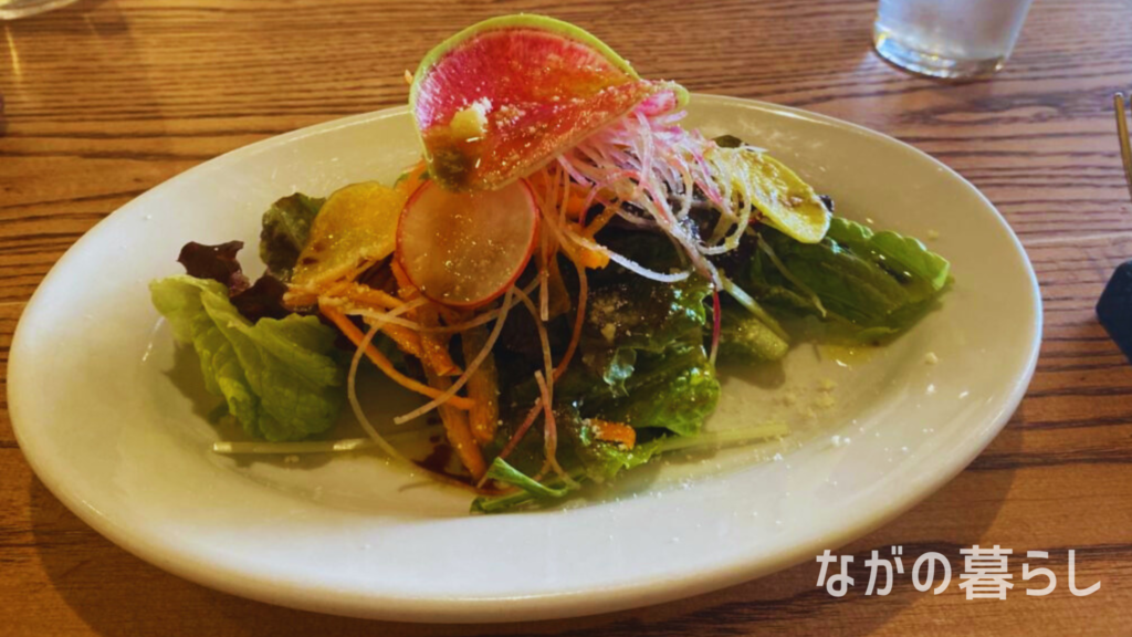 「ピッツェリア カスターニャ」ランチサラダ(ながの暮らし)