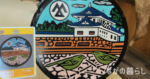 【長野県飯田市】「遠山郷土館 和田城」のマンホールカードを手に入れました