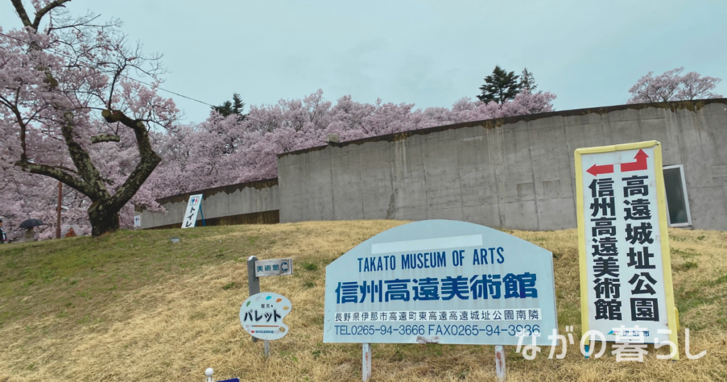 【長野県伊那市】日本三大桜名所「高遠城址公園さくら祭り」に行ってきました！（４月上旬～中旬）