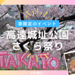 【長野県伊那市】日本三大桜名所「高遠城址公園さくら祭り」に行ってきました！（４月上旬～中旬）