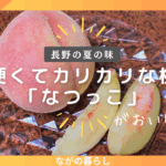 長野の夏の味！硬くてカリカリコリコリした桃「なつっこ」がおいしい！