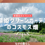 【長野県信濃町】黒姫グリーンガーデン高原のコスモス畑で空中散歩を楽しみました！