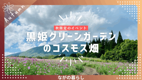 【長野県信濃町】黒姫グリーンガーデン高原のコスモス畑で空中散歩を楽しみました！