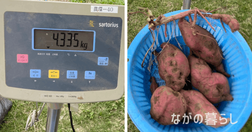 【須坂市】農業試験場・果樹試験場の一般公開に行ってきました