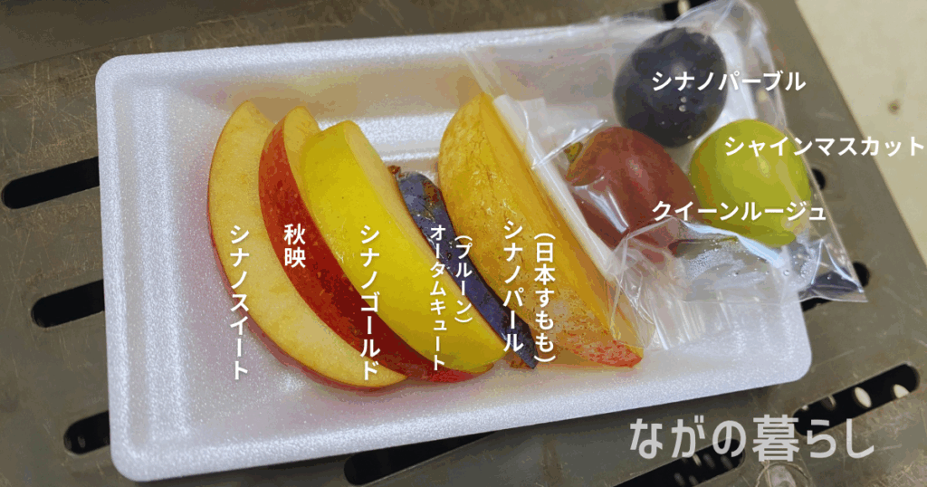 【須坂市】農業試験場・果樹試験場の一般公開に行ってきました