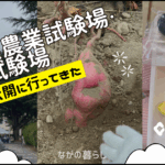 【須坂市】農業試験場・果樹試験場の一般公開に行ってきました