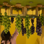 【長野県】木曽おもちゃ美術館に行ってきました!
