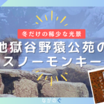 【山ノ内町】地獄谷野猿公苑で温泉を楽しむ野生のサル「SNOW MONKEY（スノーモンキー）」を見てきました！（冬限定）