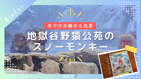 【山ノ内町】地獄谷野猿公苑で温泉を楽しむ野生のサル「SNOW MONKEY（スノーモンキー）」を見てきました！（冬限定）