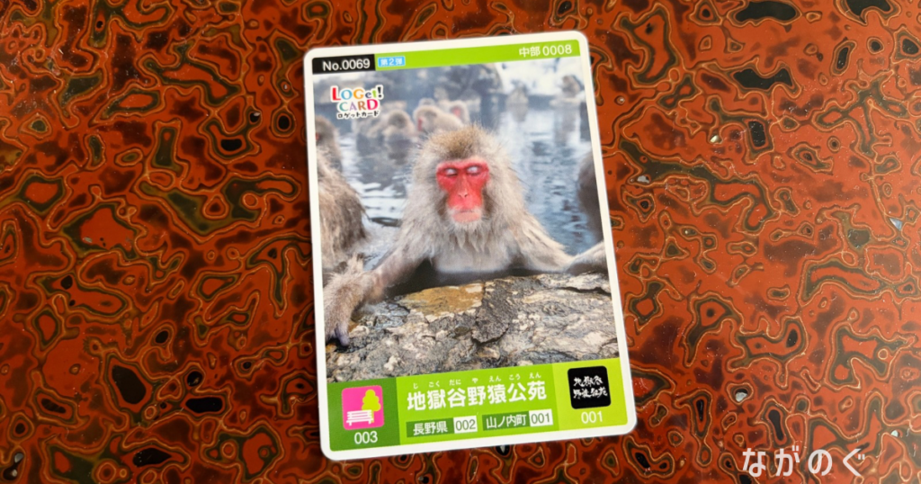【山ノ内町】地獄谷野猿公苑で温泉を楽しむ野生のサル「SNOW MONKEY（スノーモンキー）」を見てきました！（冬限定）ロゲットカード