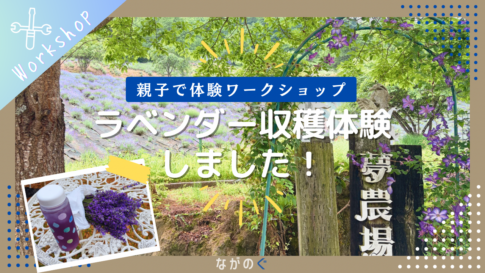 【長野県池田町】夢農場のラベンダー収穫体験に行ってきました！