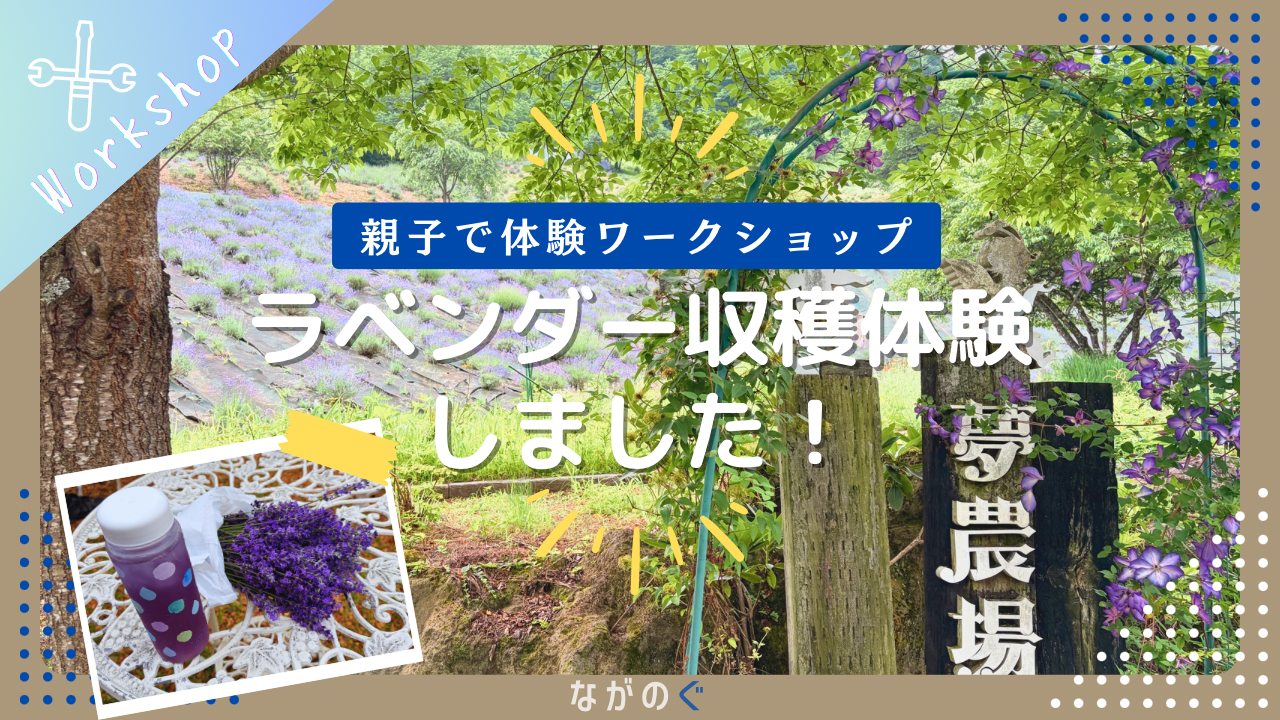 【長野県池田町】夢農場のラベンダー収穫体験に行ってきました！