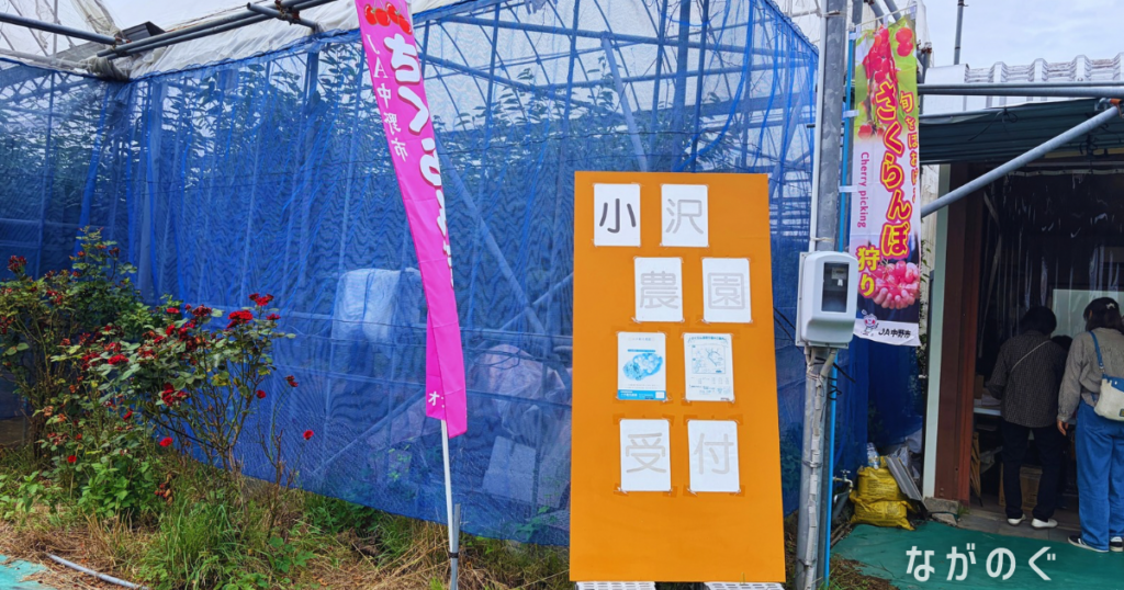 【長野県中野市】小沢観光農園で「さくらんぼ狩り」しました! 3 【長野県中野市】小沢観光農園で「さくらんぼ狩り」しました!