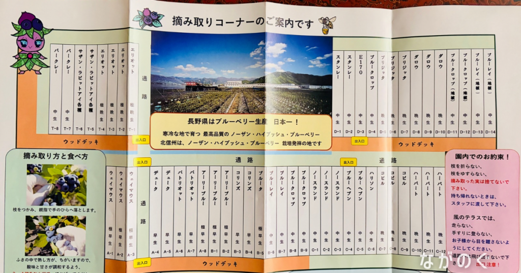 【長野県須坂市】森の畑で「ブルーベリー狩り」に行きました! 4 【長野県須坂市】森の畑で「ブルーベリー狩り」に行きました!