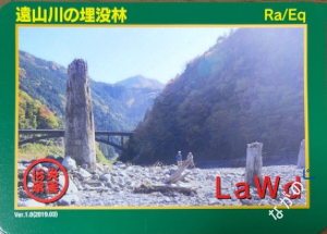 災害伝承カード遠山川の埋没林91P
