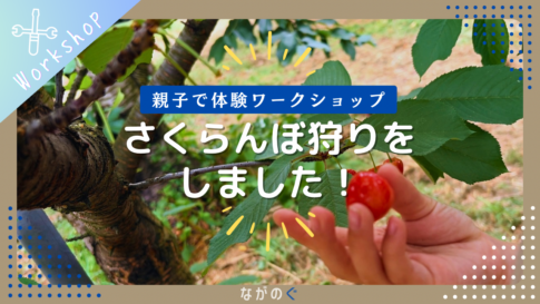 【長野県中野市】小沢観光農園で「さくらんぼ狩り」しました！